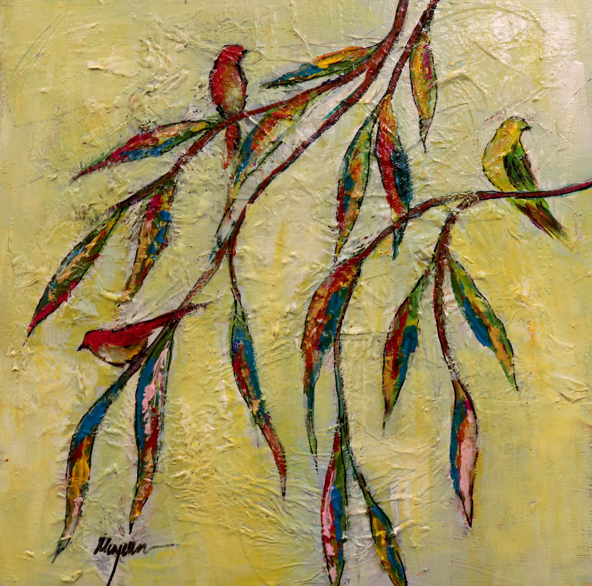 Bird on Eucalyptus