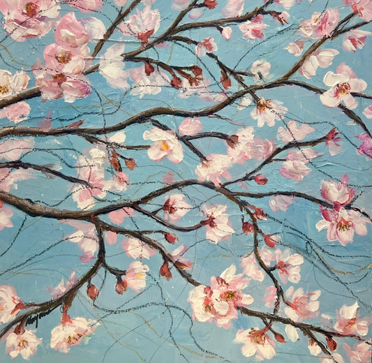 Cherry blossom dreams