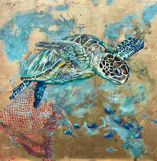 Turtle 1