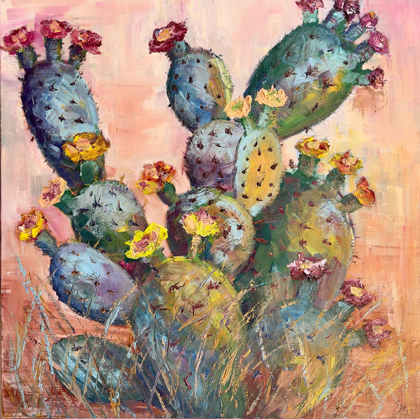 I’m a Cactus